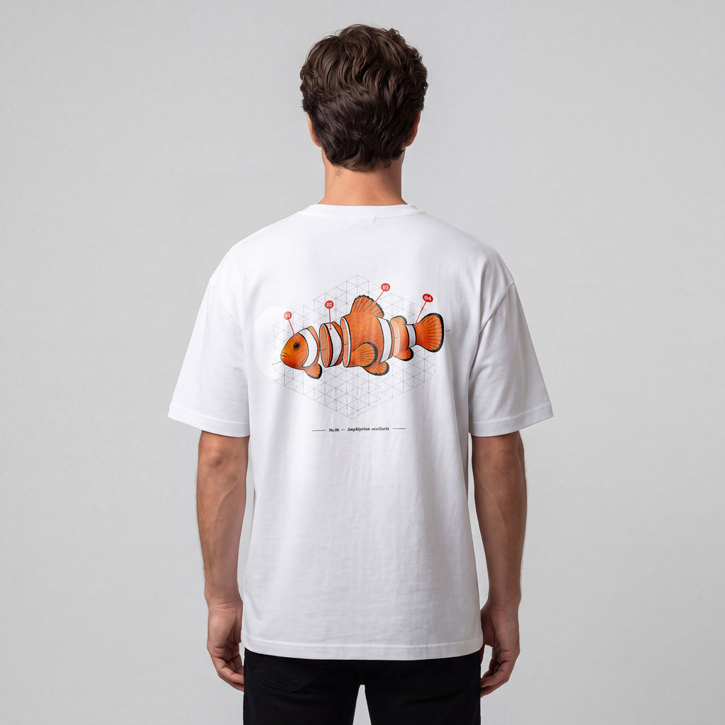 REEF Amphiprion Ocellaris | 25 × 25 cm DTF Baskı Transferi