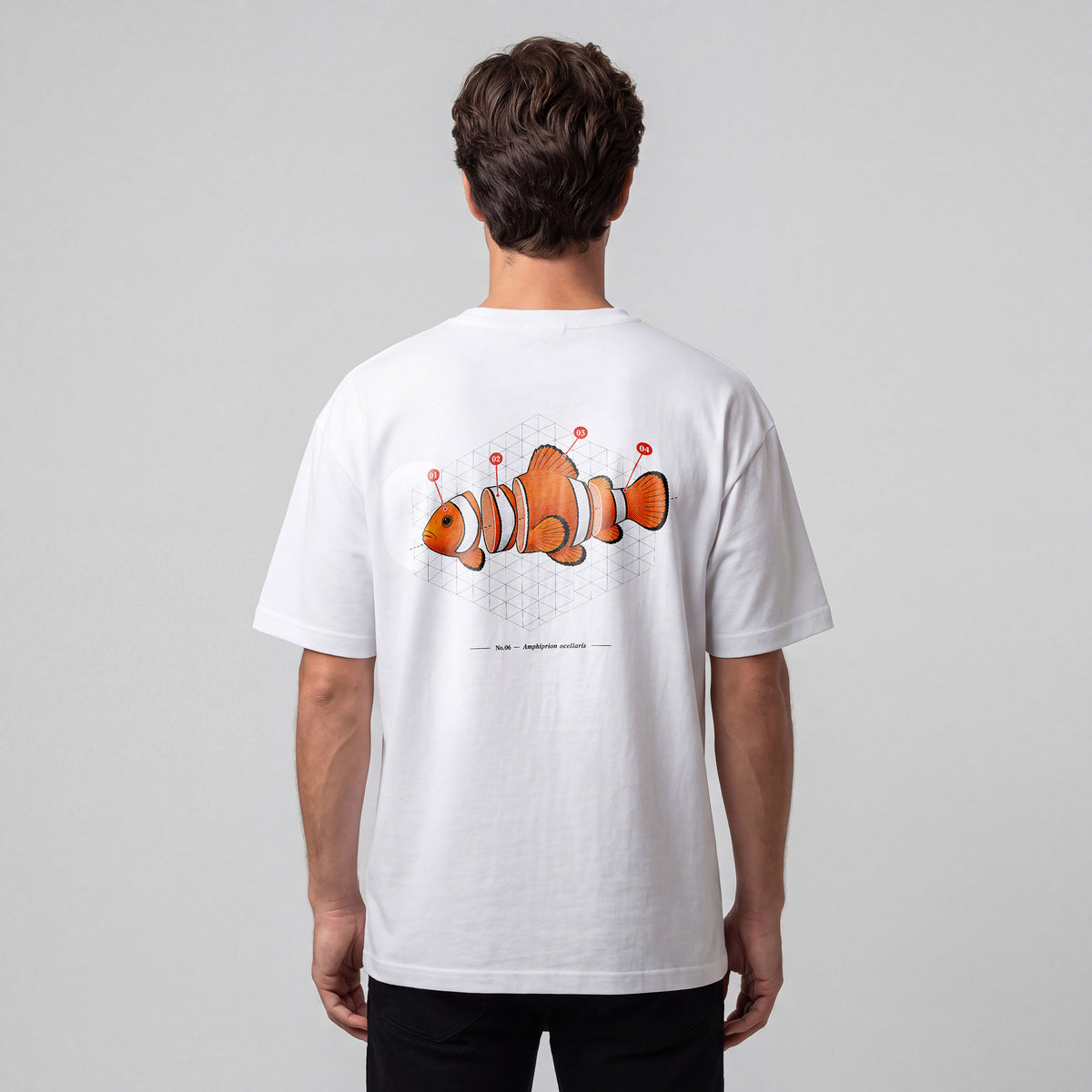 REEF Amphiprion Ocellaris | 25 × 25 cm DTF Baskı Transferi